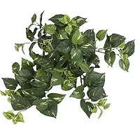 Urvi Creations Artificial Green Money Plant Leaf Garland /Creeper /Door Wall Hanging - Set of 10, Multicolour-thumb1