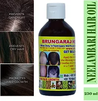 Adivasi Neelambari Premium Quality Of Hair Medicine For Hair Growth Anti Dandruff Prevent Hair Oil 250 Ml Pack Of 1-thumb1