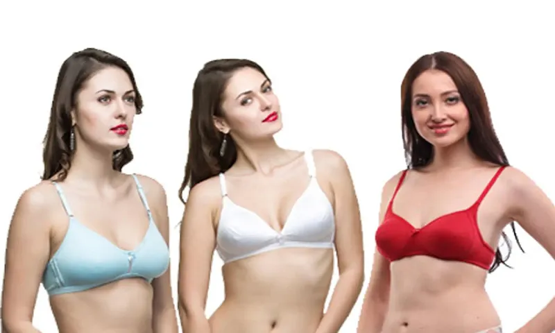 Pack of 3 Premium Quality Regular Wear Multicolored Bra Collection