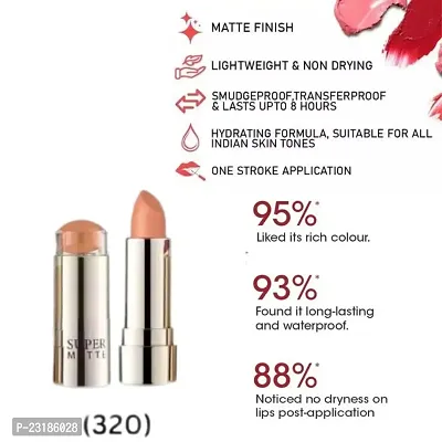 R4 Super Matte Nude Berry (301) Lipstick Pack of 1