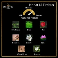 Just Floral Noir Sweet Edition | Jannatul Firdaus | Jannatul Zahra | Perfume/Fragrance Oil Roll-on | Premium Long Lasting Concentrated Attar | Unisex | 4 ml each-thumb1