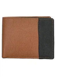 Kastner Mens Artificial Leather Wallet pack of 1-thumb1