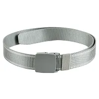 Elite Silver Solid Canvas Belt For Men-thumb1