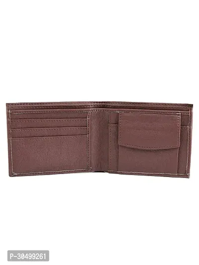 Kastner Mens Artificial Leather Wallet pack of 1-thumb3