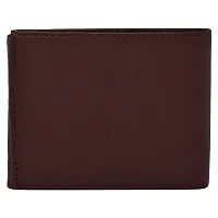 Kastner Mens Artificial Leather Wallet pack of 1-thumb2