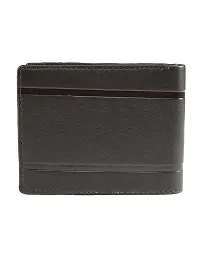 Kastner Mens Artificial Leather Wallet pack of 1-thumb1