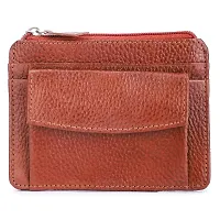 Kastner Tan Unisex Card Holder-thumb3