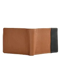 Kastner Mens Artificial Leather Wallet pack of 1-thumb4