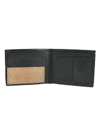 Kastner Mens Artificial Leather Wallet pack of 1-thumb2