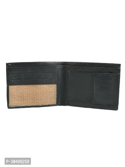 Kastner Mens Artificial Leather Wallet pack of 1-thumb3