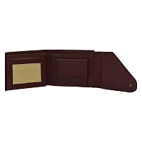 Kastner Mens Artificial Leather Wallet pack of 1-thumb1