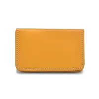 Kastner Unisex Artificial Leather Card Holder-thumb2