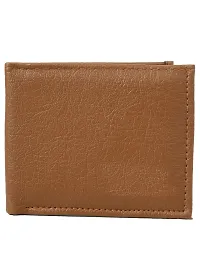 Kastner Mens Artificial Leather Wallet pack of 1-thumb1