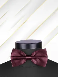Satin The Cerulean Cummerband and Bow Tie Set (Wine)-thumb1