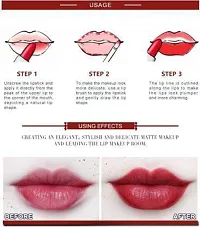 Elecsera super matte lipstick combo set of 12 lipstick (Multicolor, 0.35 g)-thumb2