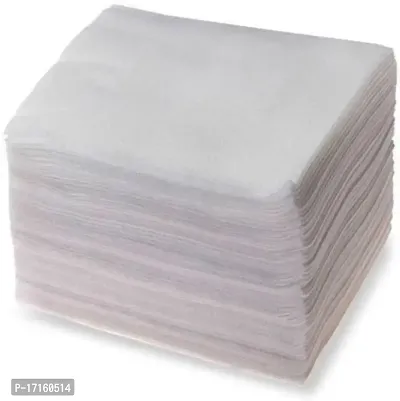 Elecsera Dry Tissue Paper (13 * 11 inch) (100 Tissues)