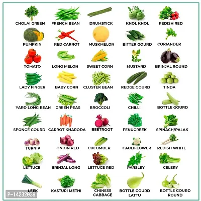 45 Varieties Vegetable Seeds Organic Seeds Combo Pack