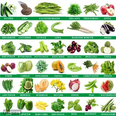 Vegetable Seeds Packet 40 Varieties::Seeds Combo Pack-thumb0
