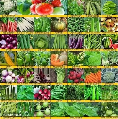 45 Varieties Vegetable Seeds Organic Seeds Combo Pack