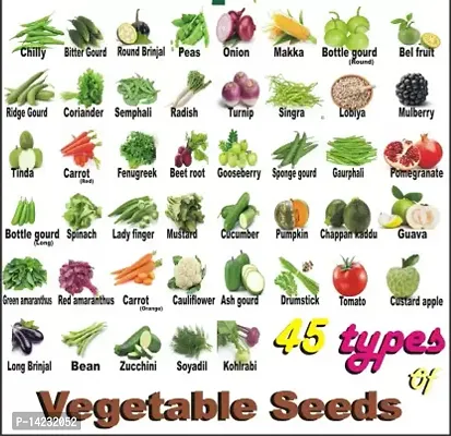 Vegetable Seeds (Hybrid/Organic) Combo 45 Varieties Home Garden Pack-thumb0