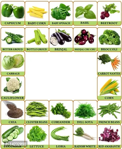 25 Variety Of Seeds Vegetable Seeds Combo