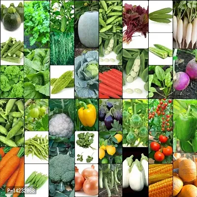 combo Vegetable seed-thumb0