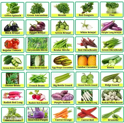 35 Variety Vegetable Seeds Organic Combo