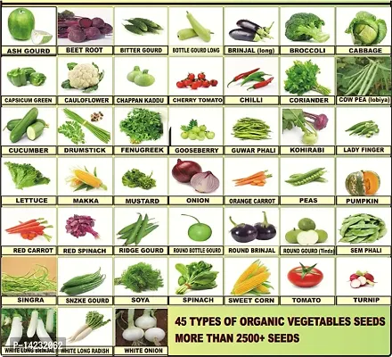 45 varieties  mix  Vegetables Seeds