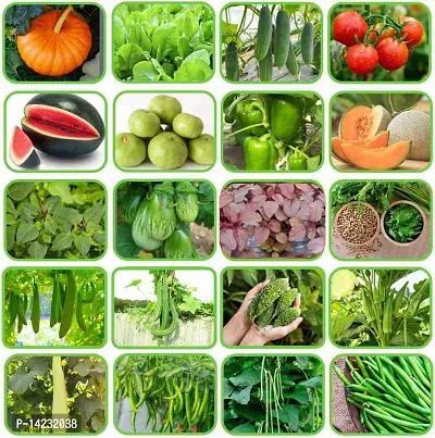 20 Varieties of Vegetable Seeds 1225+ High Germination Seeds For Your Garden