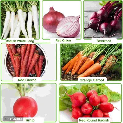 Exotic Root Vegetable Seeds Combo