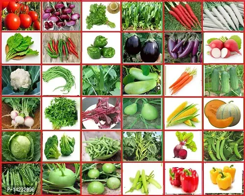 Vegetable Bank For Home Garden Varieties - 2200 Seed-thumb0