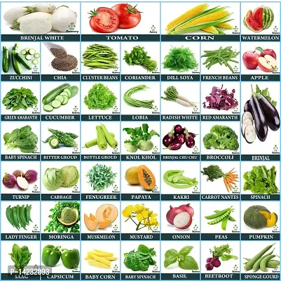 45 Variety Of Vegetable Seeds Combo Pack-thumb0