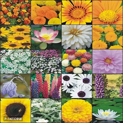 Twenty Flower Seeds In One Combo Pack