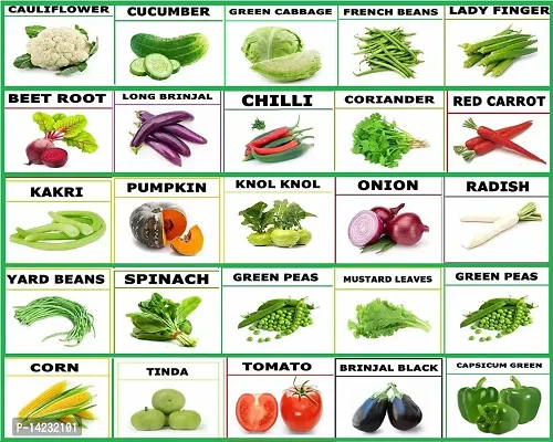 25 variety vegetable seeds combo pack with instruction manual