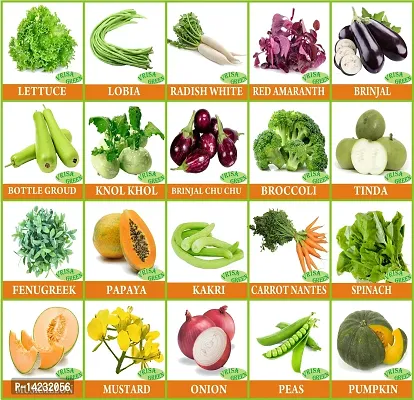 20 Varieties of Vegetable  Fruit Seeds