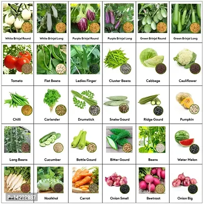 30 Variety of Organic Vegetable Seeds Combo Pack