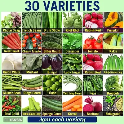 Vegetable Seeds Combo Pack Perfect for Home Gardening Offers 30 Varieties-thumb0
