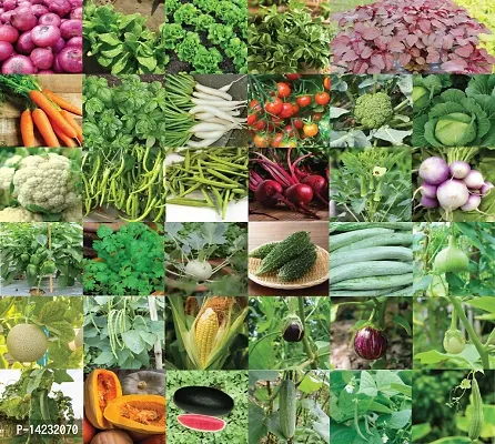 ASD4   50 DIFFERENT VEGETABLES AND FRUIT SEEDS PREMIUM COMBO PACK-thumb0