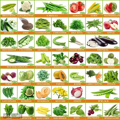 45 Varieties of Vegetable Seeds 2600+ Germination Seed-thumb0