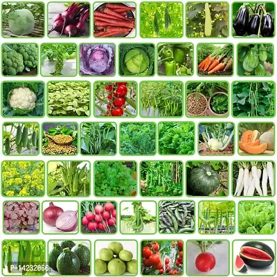 45 Varieties Vegetable Seeds Combo 2499+ seeds