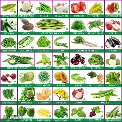45 Varieties Vegetables Seeds Combo-thumb0