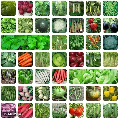 Vegetable seeds combo 20 variety