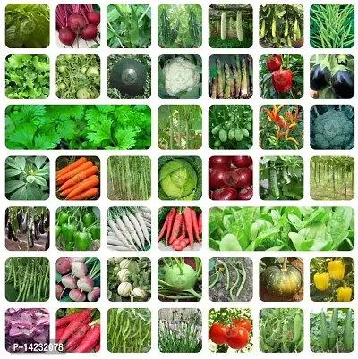 45 Varieties Vegetable Combo With Instruction Manual-thumb0