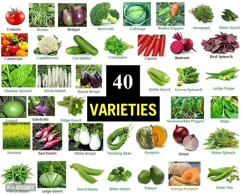 40 Variety Vegetable Seeds Combo-thumb0