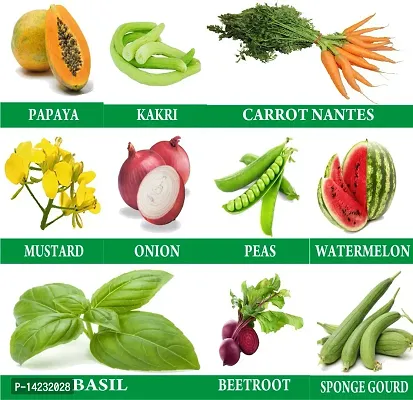 10 Varieties Kitchen Garden Vegetables Seeds For Growing::Combo Pack