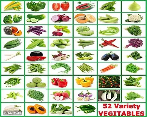 52 Varieties Vegetable Seeds Combo Pack Perfect for Home Gardening