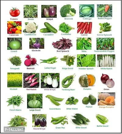 Vegetable Seeds Mix Combo