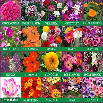 20 Variety Flower Seeds Combo Pack of 1000 All Season Flower Seeds