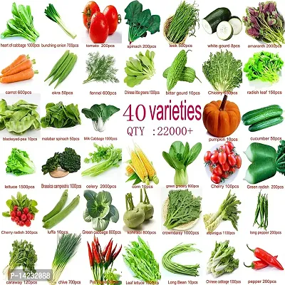 40 Variety of Organic Vegetable Seeds Combo Pack