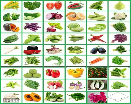 ASD14 50 DIFFERENT VEGETABLES AND FRUIT PREMIUM COMBO PACK